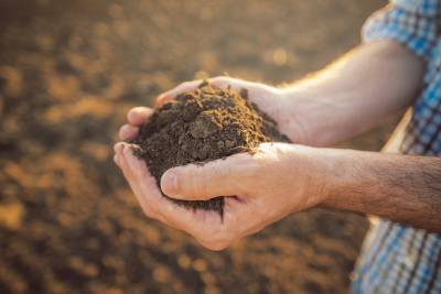 Bayer: Πρόγραμμα πίστωσης αγροτών για αποθήκευση άνθρακα