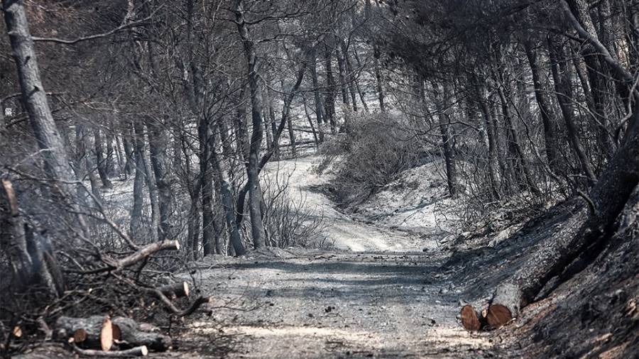 Οριοθετημένη η πυρκαγιά στην Εύβοια - Σε επιφυλακή για αναζωπυρώσεις