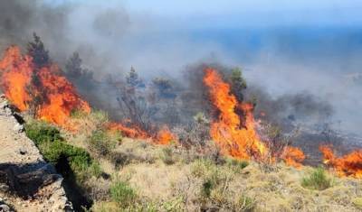 Μεγάλη πυρκαγιά στη Χίο: Εκκενώθηκαν προληπτικά 3 χωριά