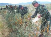 Κίνα και Πακιστάν εις σάρκα μίαν