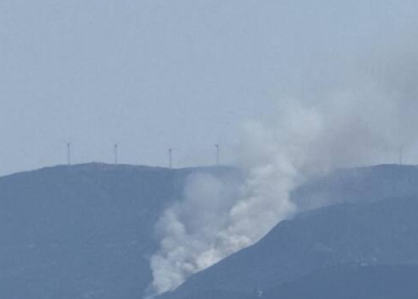 Σε ύφεση η πυρκαγιά στο Διαβολογέφυρο Τροιζηνίας