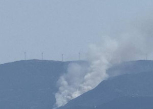 Σε ύφεση η πυρκαγιά στο Διαβολογέφυρο Τροιζηνίας