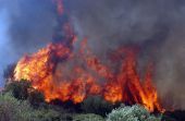Σε εξέλιξη πυρκαγιές σε Ηράκλειο και Αργολίδα