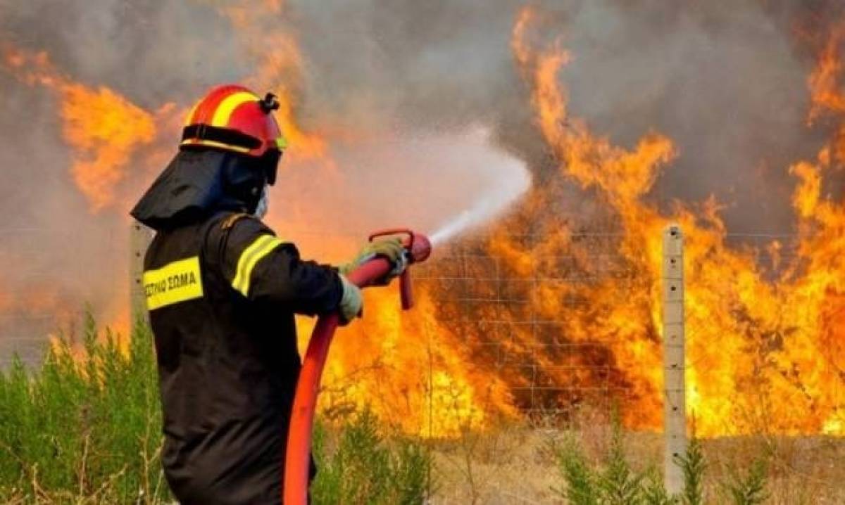 Πυρκαγιά σε εξέλιξη στην Ηλεία