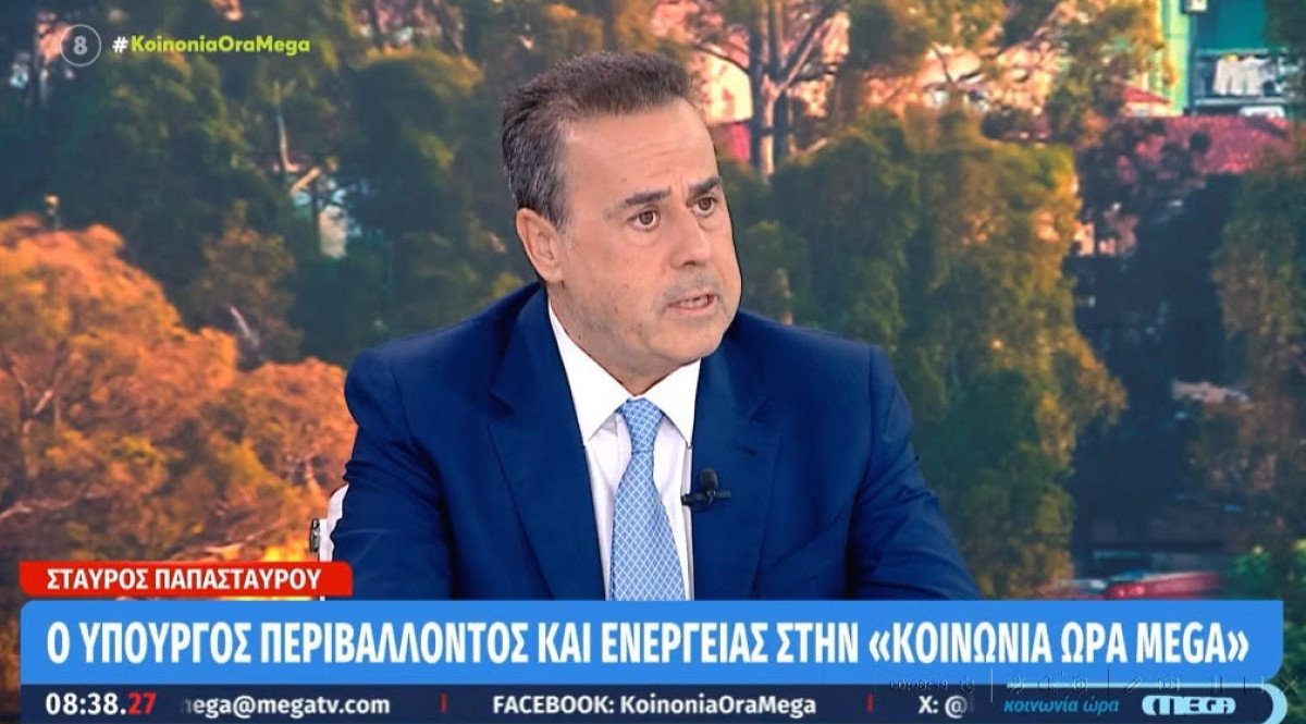 Παπασταύρου: Μέτρα για την ενεργειακή κρίση εξετάζει το ΥΠΕΝ - Δεν τίθεται θέμα επάρκειας