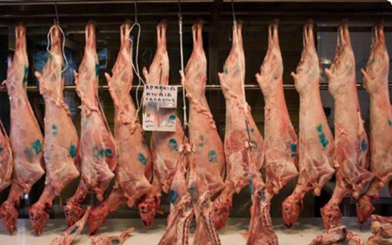 Αλεξάνδρεια: Υπόθεση ελληνοποίησης χιλιάδων αμνορριφίων από τη Ρουμανία