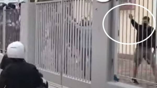 TAZ: «Μαινόμενοι νεοναζί στην Ελλάδα»