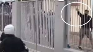 TAZ: «Μαινόμενοι νεοναζί στην Ελλάδα»