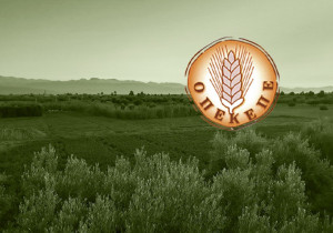 «Πόλεμος» δηλώσεων ΝΔ – ΠΑΣΟΚ για τον ΟΠΕΚΕΠΕ: Στο επίκεντρο ο Μόσχος Κορασίδης