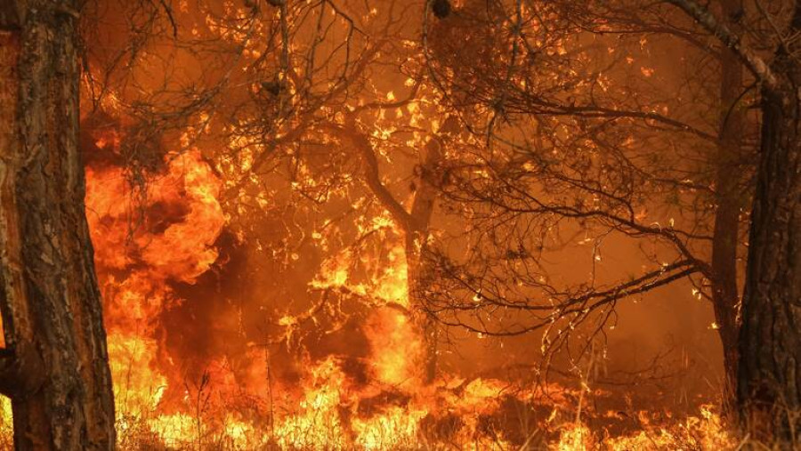 Προειδοποίηση Meteo: Έρχεται τριήμερο με πολύ υψηλή επικινδυνότητα δασικών πυρκαγιών