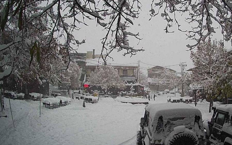 Θερμοκρασία-ρεκόρ όλων των εποχών: -23 βαθμοί στη Φλώρινα!