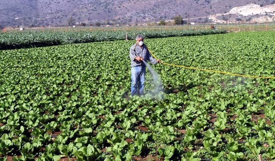 Άνοδος 2,4% του γ.δ. αμοιβής συντελεστών παραγωγής στη γεωργία