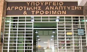 Ενεργοποιείται το νέο Ταμείο Μικροπιστώσεων για τον αγροδιατροφικό τομέα
