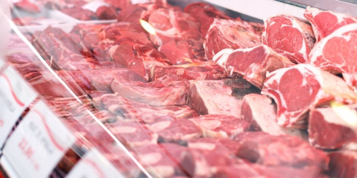 ΣΔΟΕ: Τόνοι αλλοιωμένων κρεάτων προορίζονταν για νοσοκομεία, ΚΥΤ, στρατόπεδα