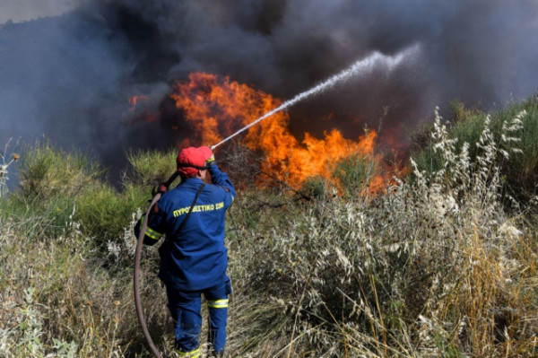 Πυρκαγιά στην Ποντοηράκλεια Κιλκίς