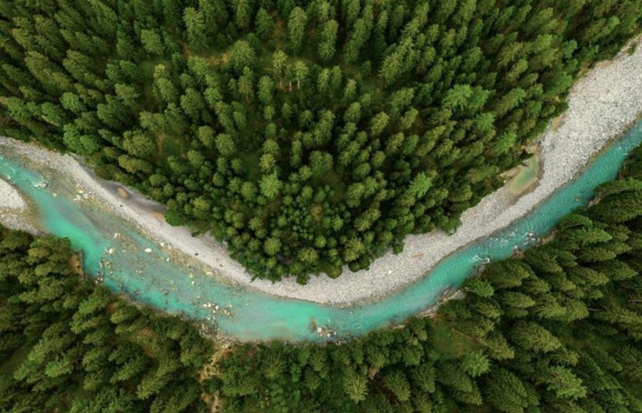 L’Oréal Fund For Nature Regeneration: Tρεις νέες επενδύσεις για τη διατήρηση της βιοποικιλότητας