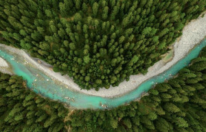 L’Oréal Fund For Nature Regeneration: Tρεις νέες επενδύσεις για τη διατήρηση της βιοποικιλότητας