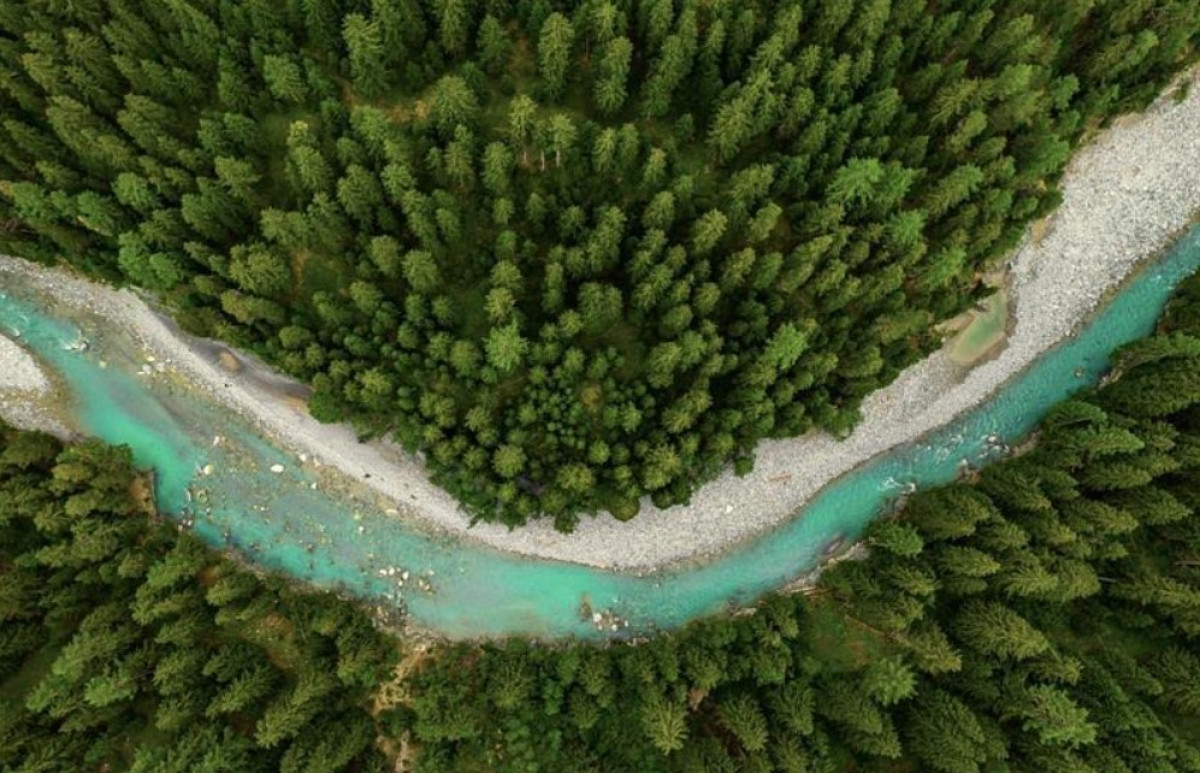 L’Oréal Fund For Nature Regeneration: Tρεις νέες επενδύσεις για τη διατήρηση της βιοποικιλότητας