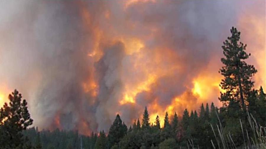 Λέσβος: Υπό έλεγχο η φωτιά στο Πλωμάρι-Κάηκαν 100 στρέμματα