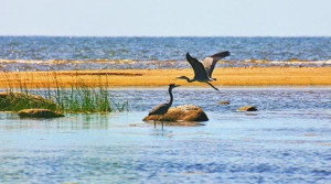 Περιοχές Natura 2000: 2 €δις./ χρόνο από την αξιοποίησή τους