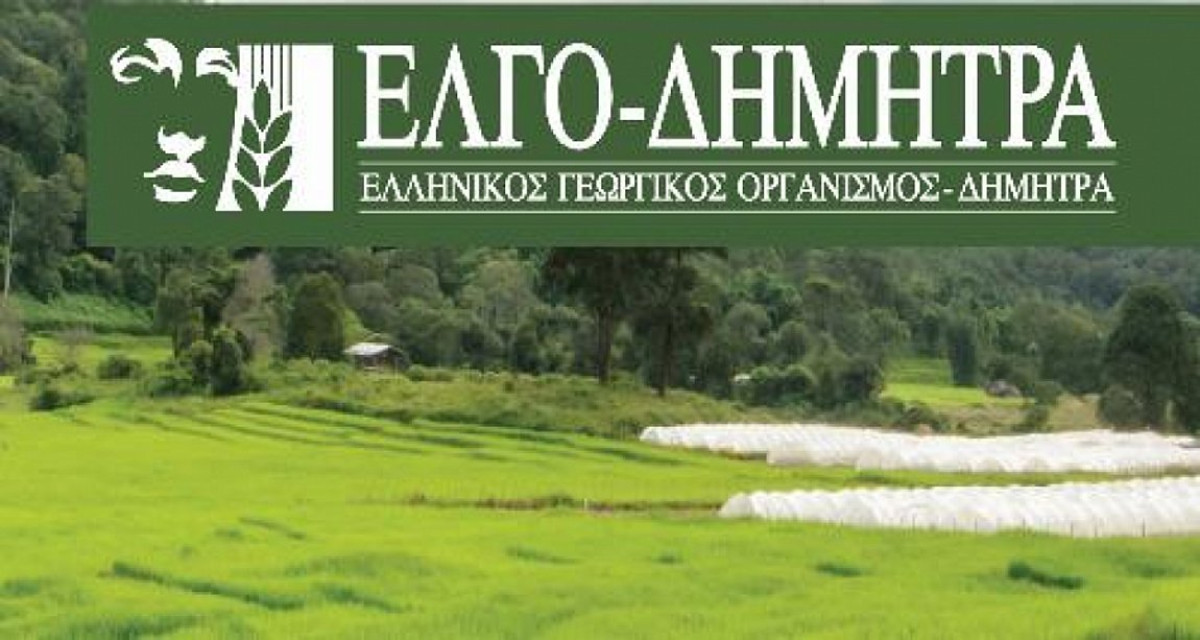 ΕΛΓΟ ΔΗΜΗΤΡΑ: Υπερψηφίστηκε το ν/σ για το ενιαίο ρυθμιστικό πλαίσιο