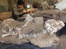 Ανακαλύφθηκε άρτιος σκελετός δεινοσαύρου ηλικίας 72 εκατ. ετών!