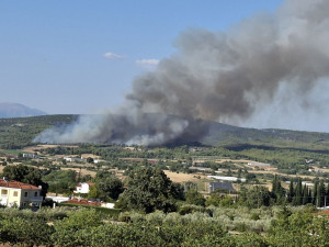Μεγάλη κινητοποίηση της Πυροσβεστικής για φωτιά στον Ωρωπό: Σηκώθηκαν 19 εναέρια μέσα – Ήχησε το 112