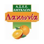 Οι χυμοί Λακωνία έπιασαν "πόστο" στη Ρωσία, ενώ προμηθεύουν Coca Cola και Δέλτα