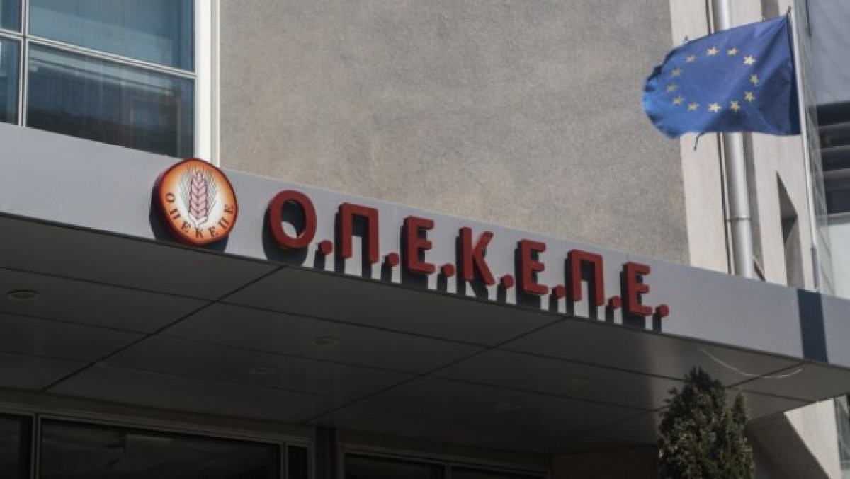 Εξεταστική ΟΠΕΚΕΠΕ: ΝΔ «στρέφει τα βέλη» σε Χνάρη και ΠΑΣΟΚ - Μπαμπασίδης καταγγέλλει Τυχεροπούλου