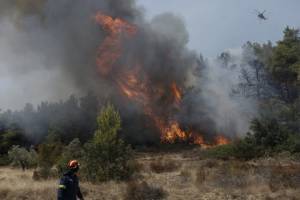 Φωτιά στη Βάρη- Εκκενώθηκαν τα παιδικά χωριά SOS