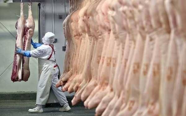 Πειραιάς: Πάνω από 13 τόνοι τροφίμων κατασχέθηκαν το 2018