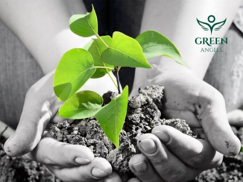 Ποιοι είναι οι Green Angels που παρέδωσαν το πρώτο καθαρό δάσος της Αττικής;