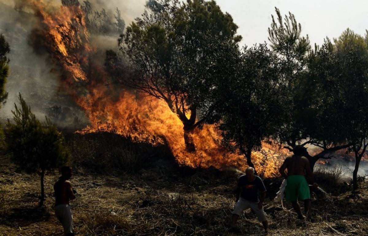 Νεκρός 58χρονος κοντά σε πυρκαγιά στην Ανδρίτσαινα Ηλείας