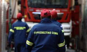 Φωτιά σε δασική έκταση στην Εύβοια
