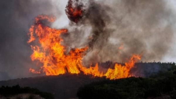 Προσαγωγή 72χρονης για την φωτιά στα Σπάτα