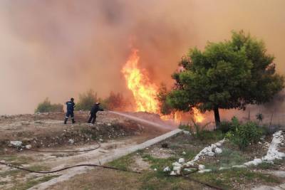 Πόσα στρέμματα γης κάηκαν σε Ζάκυνθο και Λουτράκι