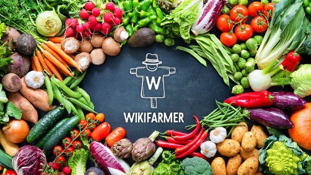 Wikifarmer: Οι top αναζητήσεις αγροτικών προϊόντων στην Ελλάδα το 2020