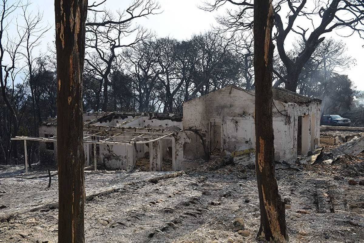 ΦΕΚ για πυρόπληκτους: Ποιοι έχουν δικαίωμα αίτησης για τις αποζημιώσεις