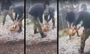 Σάλος: Φαντάροι στην Κόνιτσα κακοποιούν σκύλο- Παρέμβαση Καμμένου