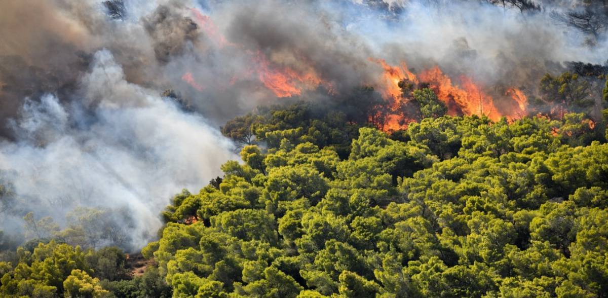 Μεγάλη φωτιά στην Κερατέα-Κινητοποίηση εναέριων και επίγειων δυνάμεων (photos)