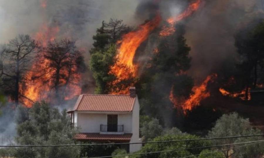 Φωτιά στην Εύβοια: 1000 σπίτια κατεστραμένα στον Δήμο Μαντουδίου