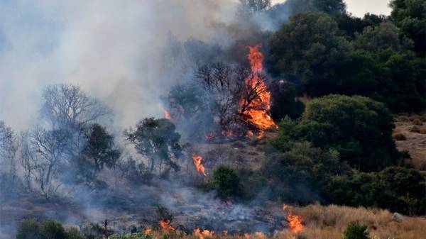 Φωτιά και στη Λίμνη Ευβοίας- Εκκενώνονται οικισμοί