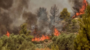 Βελτιωμένη εικόνα στη φωτιά στη Βουρβουρού Χαλκιδικής - Απομακρύνθηκαν περίπου 200 κατασκηνωτές