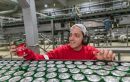 Η Coca-Cola παρουσιάζει τη Νέα Coca-Cola Xωρίς Θερμίδες με Στέβια