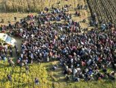 Αυστρία: 80.470 αιτήσεις για χορήγηση ασύλου στη χώρα