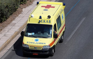 Θεσσαλονίκη: Στο νοσοκομείο 18 μηνών παιδί έπειτα από επίθεση ζώου