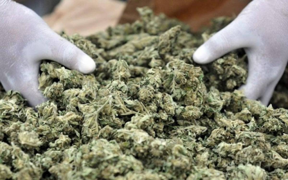 Αυτοί είναι είναι 8 ηγέτες του κόσμου στη βιομηχανία της... μαριχουάνας