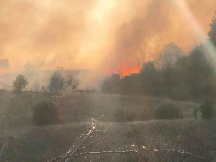Πυρκαγιά στο Δήμο Μαντουδίου Λίμνης Αγίας Άννας στην Εύβοια