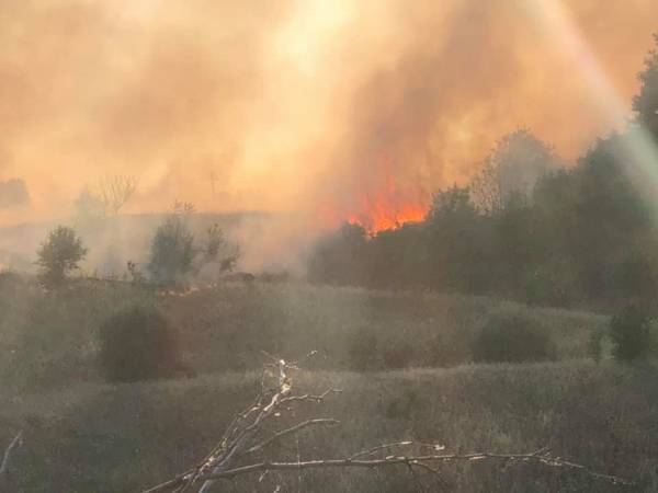 Πυρκαγιά στο Δήμο Μαντουδίου Λίμνης Αγίας Άννας στην Εύβοια