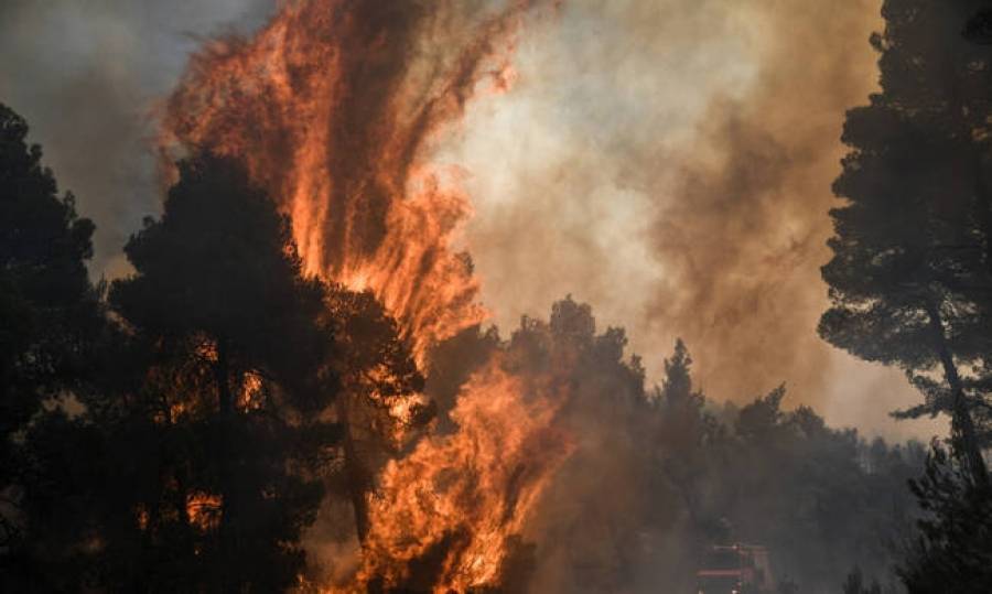 Πυρκαγιά στην Εύβοια: Μπροστά στο ενδεχόμενο εμπρησμού η Πυροσβεστική
